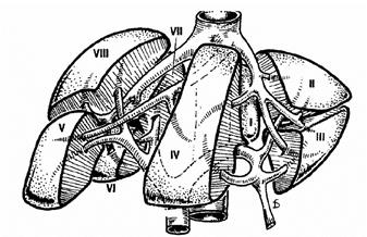 Hépatectomie : chirurgie du foie